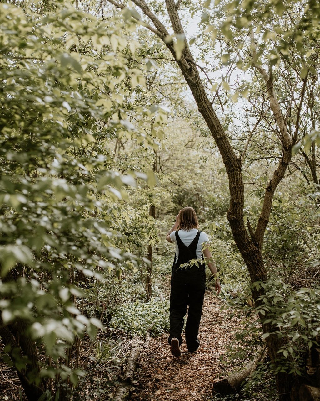 Oude bos - wandelend - verticaal Over Lisa Kippers - Freelance online marketeer